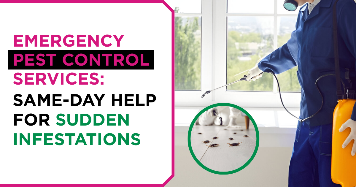 Emergency Pest Control Services | ES Bug-Masters