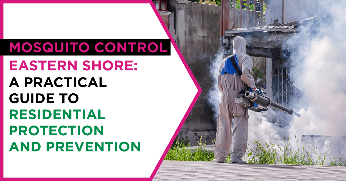 Mosquito Control Eastern Shore | ES Bug-Masters