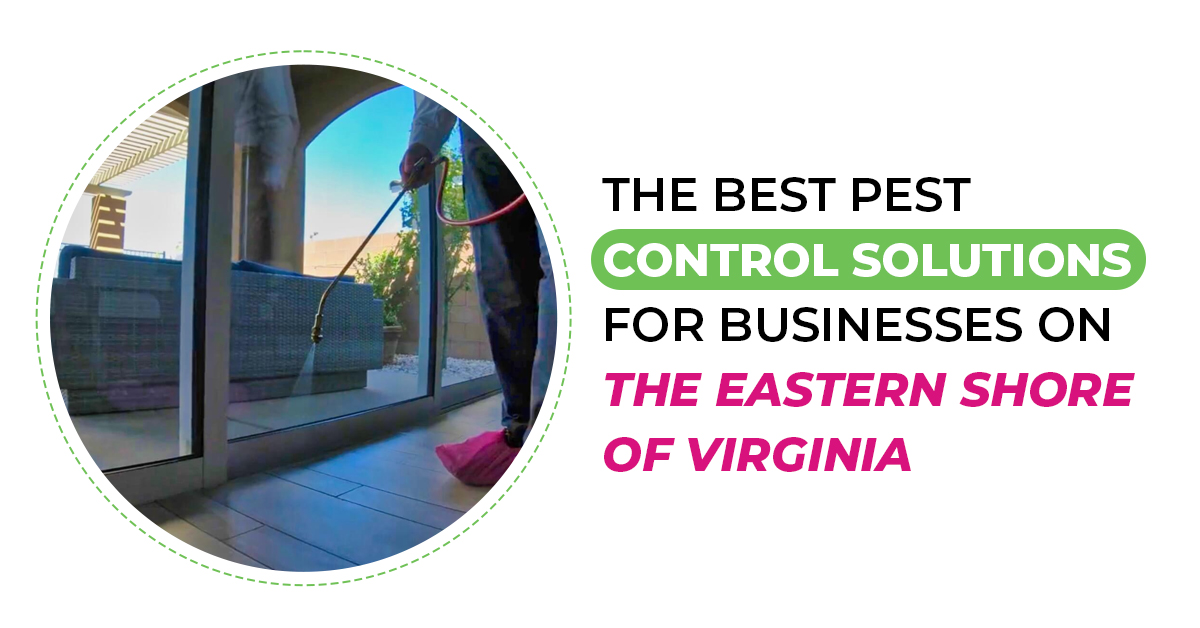 Business Pest Control Eastern Shore | ES Bug-Masters